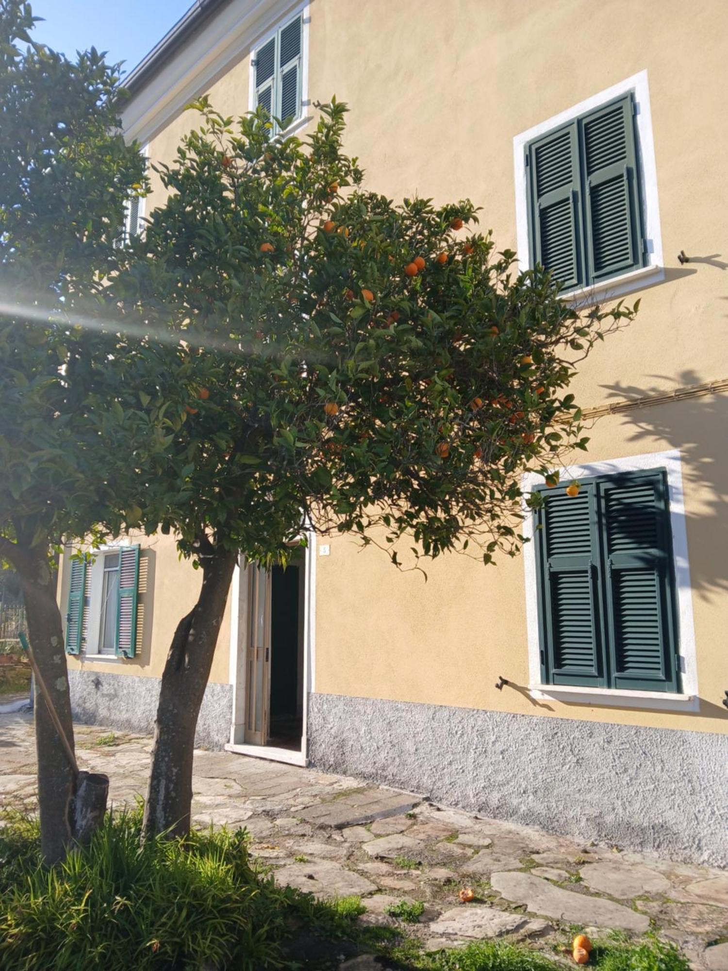 Casa Misha Tra 5 Terre E Versilia Bocca di Magra Экстерьер фото